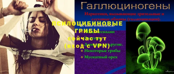винт Абинск