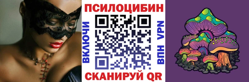 Псилоцибиновые грибы Psilocybe  Дубовка 