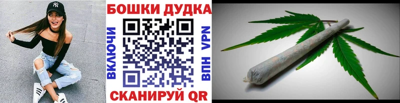 продажа наркотиков  Дубовка  Каннабис сатива 